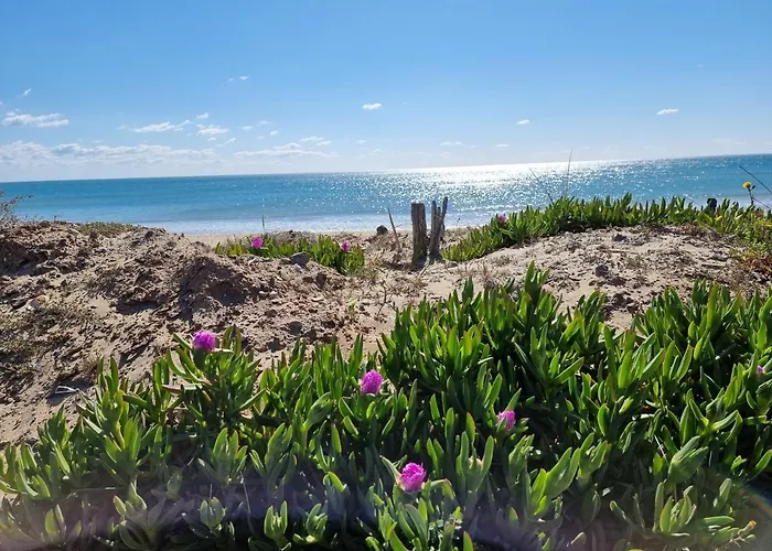 Le Cap d\'Agde Grand T2 de standing avec box Village NATURISTE