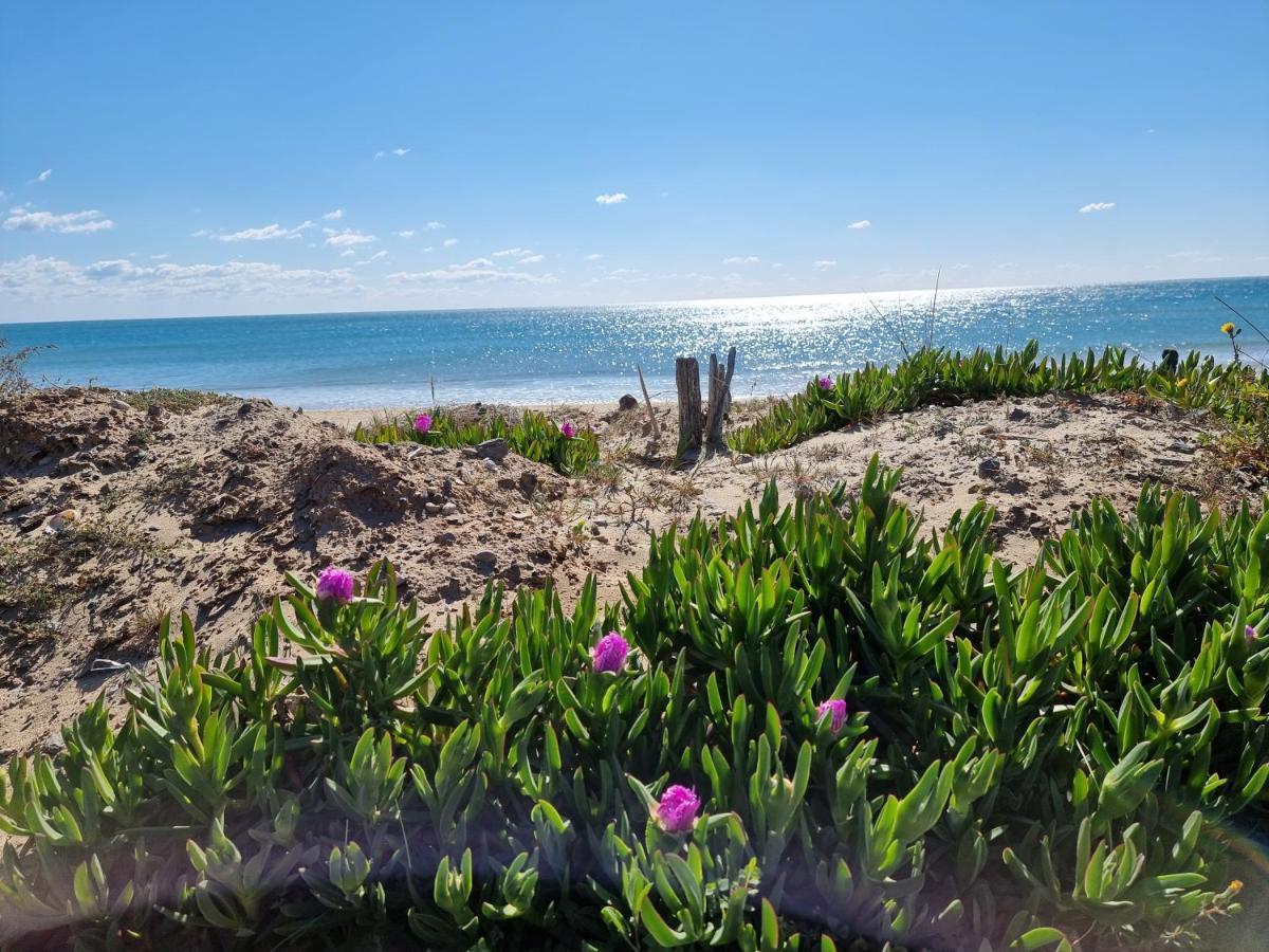 Le Cap D'agde Grand T2 De Standing Avec Box Village Naturiste Appartement Agde