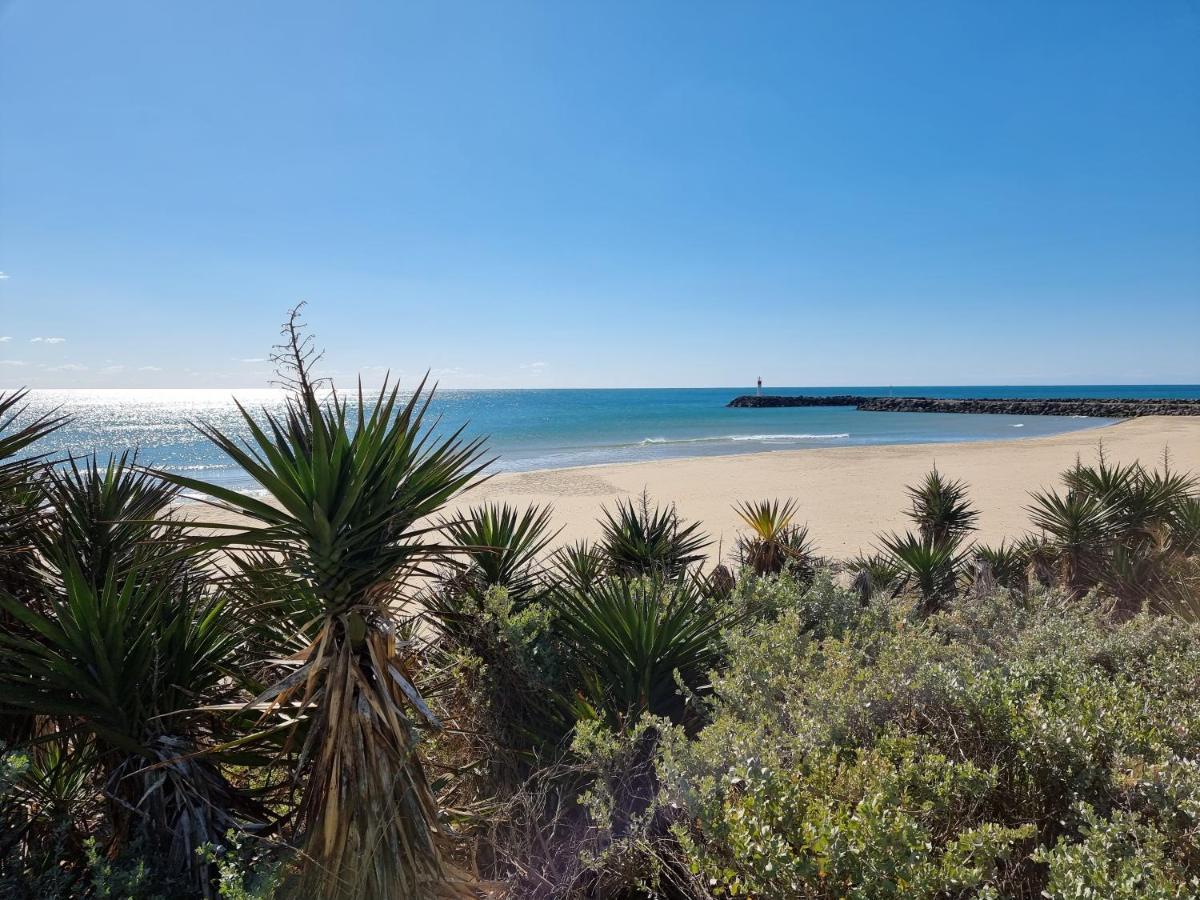 207 Cap D'agde Naturiste Grand T2 De Standing Avec Garage Apartment *